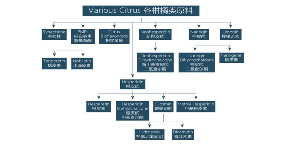 citrus aurantium series