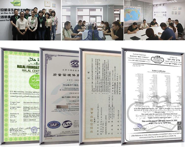 company & certificate