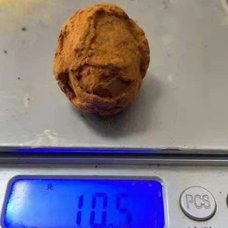 bezoar sample