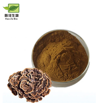 پودر قارچ دم بوقلمون